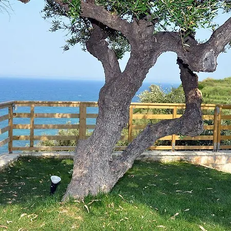 Kymothoe Elite 4* Tsilivi (Zakynthos)